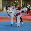 Russia Open-2012. Taekwondo